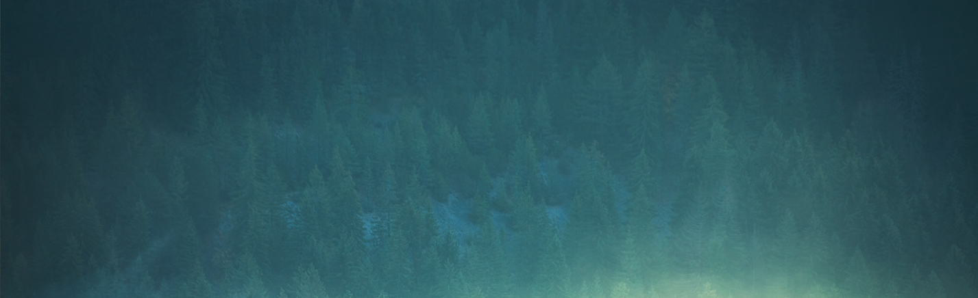 Team-Overview-Banner