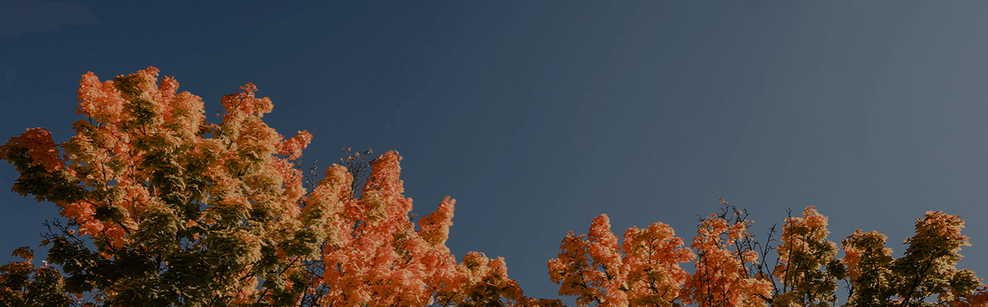 news and events mh (1)